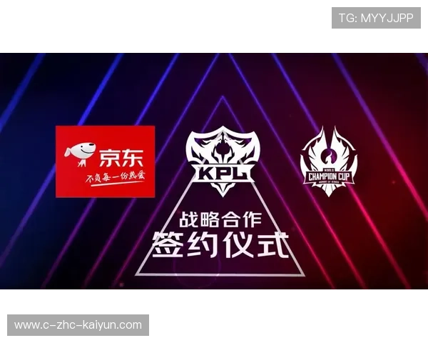 琑队如何制定联盟内合作策略，建立联盟合作方案