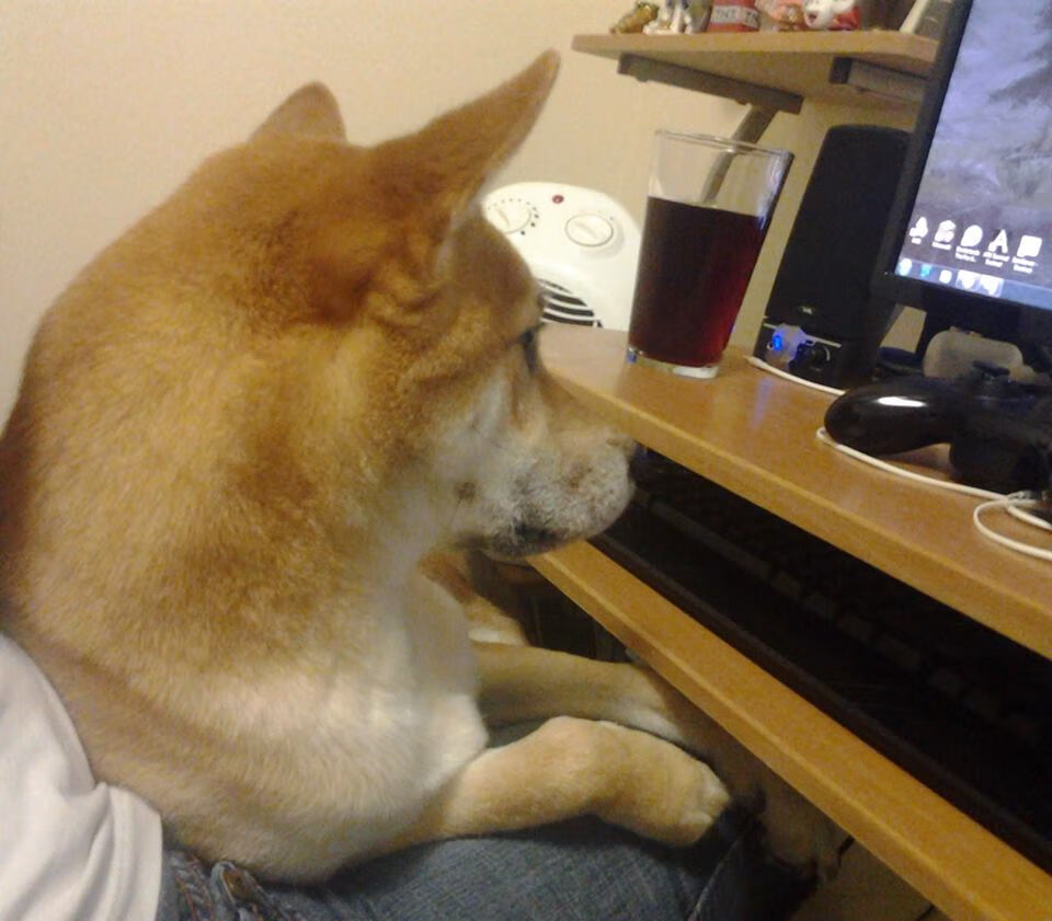 后程冲刺爆发力显著增强，后程发力成语