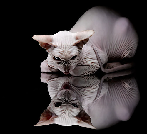 欧洲杯战术升级：创新布局开启新篇章！，欧洲杯技术分析